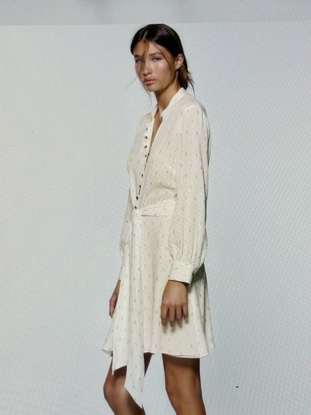 Zara Fit & Flare Button Front Dress Sz Large Tie Waist Cream Metallic Boho NWT
